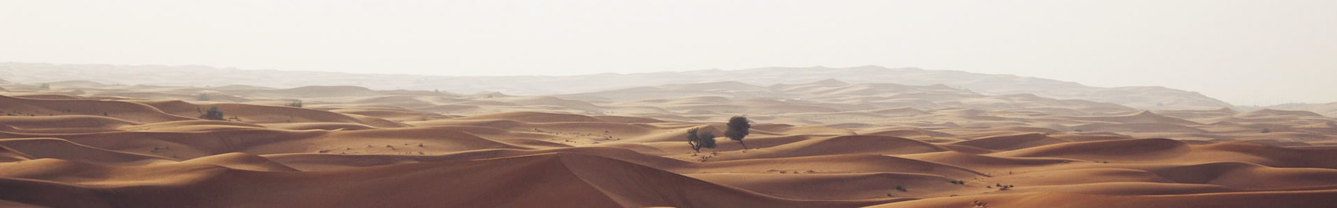 ĴСƼ޹˾